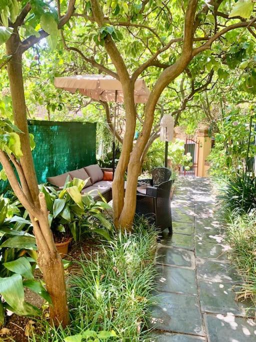 شقة Casa Adele مونتيروسّو ال ماري المظهر الخارجي الصورة